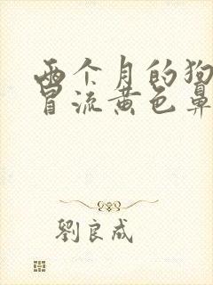 两个月的狗狗感冒流黄色鼻涕