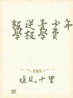 叛逆青少年特训学校学费封面