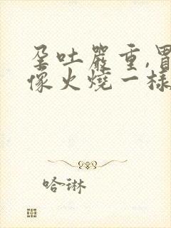 孕吐严重,胃部像火烧一样怎么办