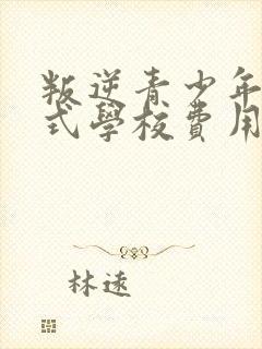 叛逆青少年封闭式学校费用