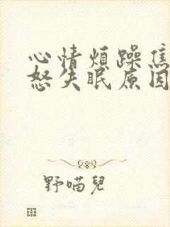 心情烦躁焦虑易怒失眠原因封面