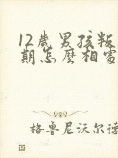 12岁男孩叛逆期怎么相处