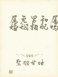 属兔男和属龙女婚姻相配吗