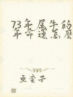 73年属牛的今年命运怎么样