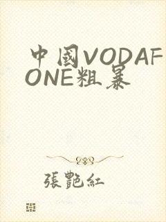 中国VODAFONE粗暴