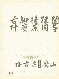 右脚后跟开裂是什么原因导致的封面