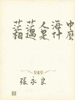 茫茫人海中和你相遇是什么歌曲封面