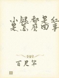 小腿都是红点点是怎么回事封面