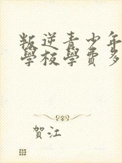 叛逆青少年纠正学校学费多少钱