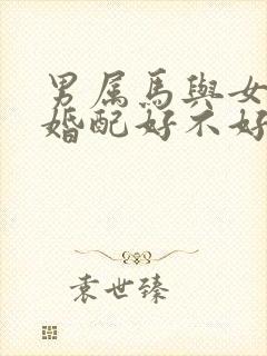 男属马与女属羊婚配好不好