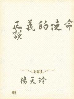 正义的使命 小说