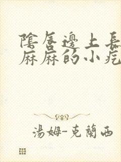 阴唇边上长密密麻麻的小疙瘩