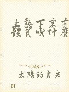 上热下寒有湿热体质吃什么中成药