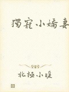 独宠小娇妻