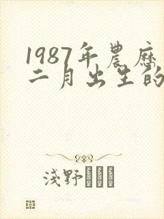 1987年农历二月出生的兔人命运如何