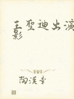 王圣迪出演的电影