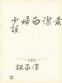 少妇白洁黄色小说封面