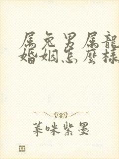 属兔男属龙女的婚姻怎么样