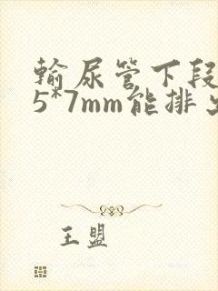 输尿管下段结石5*7mm能排出来吗封面