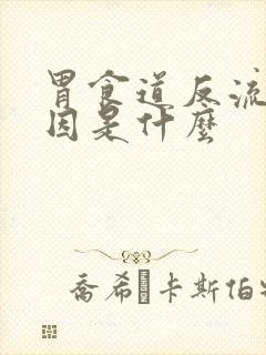 胃食道反流的原因是什么