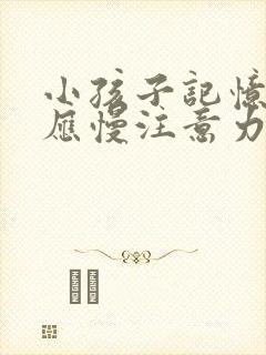 小孩子记忆力反应慢注意力不集中封面