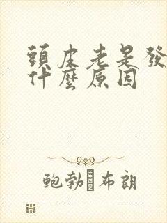 头皮老是发麻是什么原因