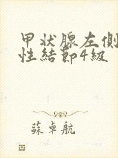 甲状腺左侧叶囊性结节4级