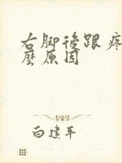 右脚后跟疼痛什么原因