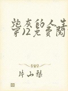 炮灰的人生(快穿)2免费阅读