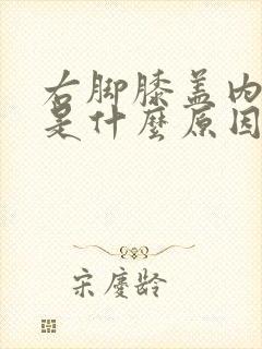 右脚膝盖内侧痛是什么原因引起的