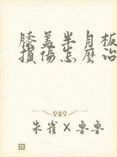 膝盖半月板二度损伤怎么治疗最好封面