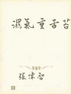 湿气重舌苔齿痕