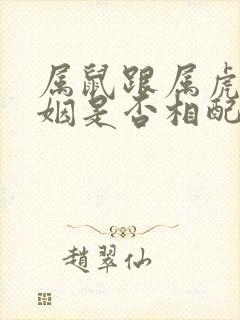 属鼠跟属虎的婚姻是否相配