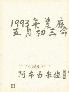 1993年农历五月初三命