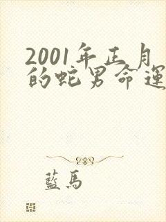 2001年正月的蛇男命运怎样