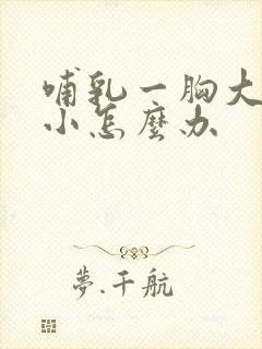 哺乳一胸大一胸小怎么办封面