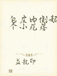 包皮内侧起了两个小疙瘩封面