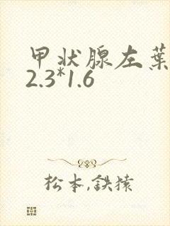 甲状腺左叶结节2.3*1.6封面