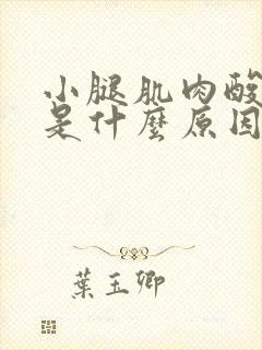 小腿肌肉酸胀痛是什么原因