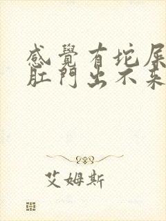 感觉有坨屎卡在肛门出不来怎么办