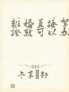 离婚直接拿结婚证就可以办吗封面