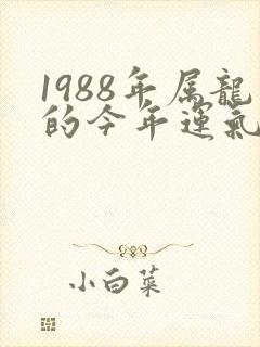 1988年属龙的今年运气怎么样