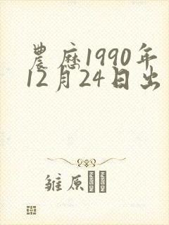农历1990年12月24日出生是什么命