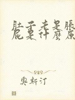 肚子老是胀气放屁是什么原因造成的