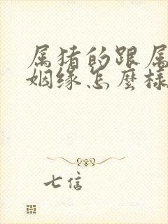 属猪的跟属狗的姻缘怎么样