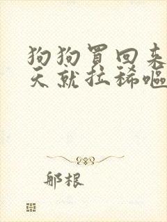 狗狗买回来第二天就拉稀呕吐怎么办