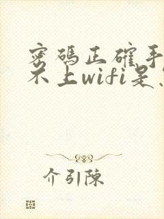 密码正确手机连不上wifi是怎么回事