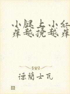 小腿上小红点很痒越挠越痒封面