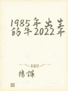 1985年出生的牛2022年运势如何