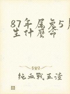 87年属兔5月生什么命